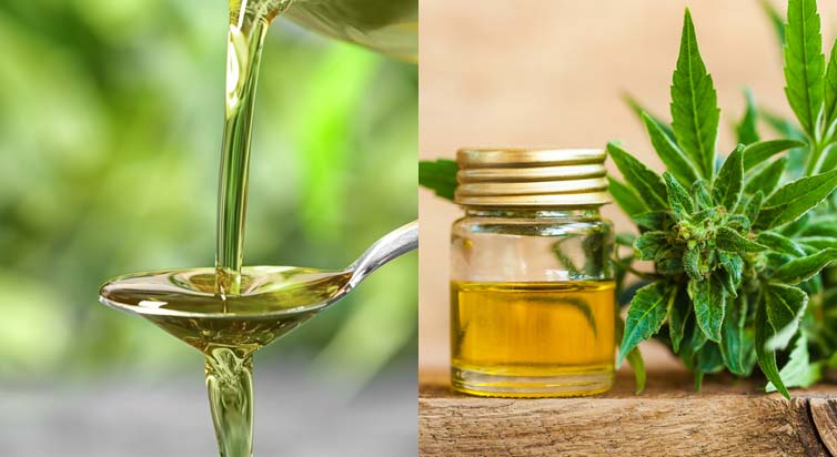 The Difference Between Hemp Oil Or CBD