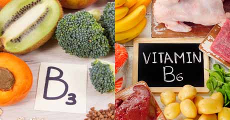 Vitamin B3 Vitamin B6