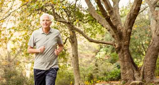 Why Should Seniors Engage in Physical Activities